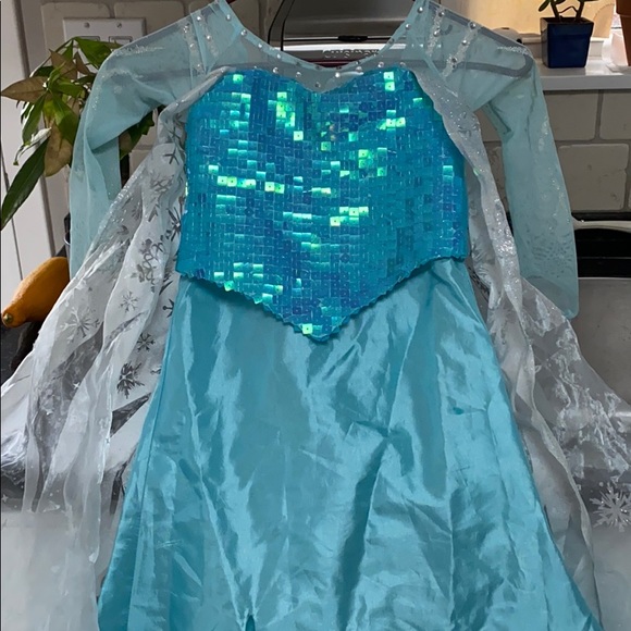 chasing fireflies elsa costume